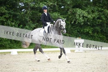 162958_mep_01_DSC_6095.JPG