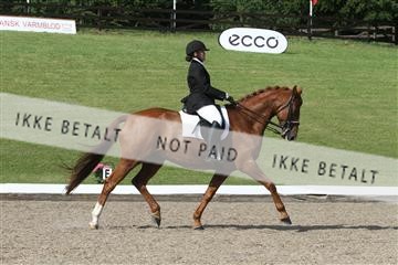135676_sg_02_IMG_9800.JPG