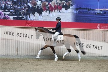 181887_mtp_01_R62_7060.JPG