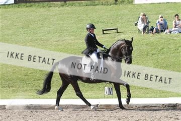 135676_sg_03_IMG_0029.JPG
