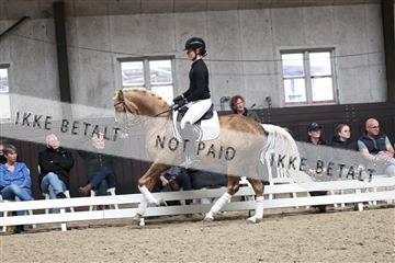 179104_avh_01_3144.JPG