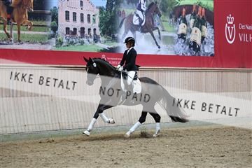 181887_mtp_05_R62_9865.JPG