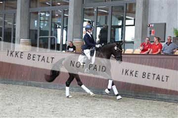 181852_mtp_05_R62_3136.JPG
