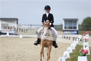 181894_mtp_04_R62_4006.JPG