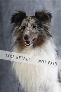 129608_le_ 01_0917.JPG