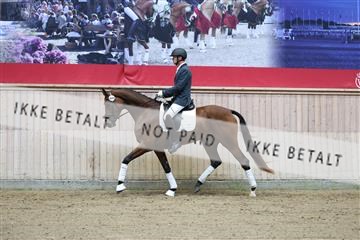 181887_mtp_04_R62_8397.JPG