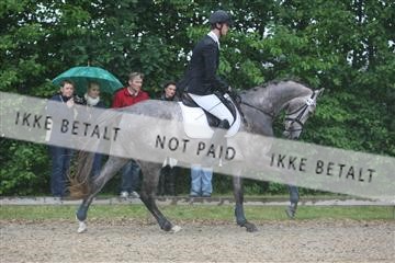 135518_ms_01_IMG_1057.JPG