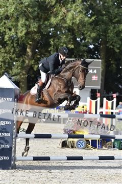 153021_abo_03__AB26836.JPG