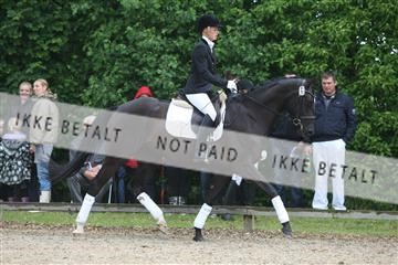 135518_ms_01_IMG_0710.JPG