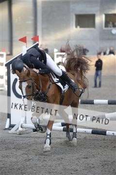 153176_ms_01_MS15933.JPG