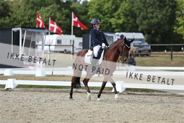 181894_mtp_05_R62_4737.JPG