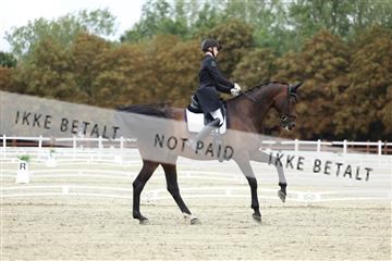 181923_mtp_04_R62_8661.JPG