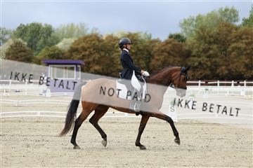 181923_mtp_03_R62_7235.JPG