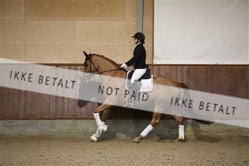 173821_mtp_01_3M5A8290.JPG