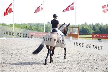 181449_kbb_02_6II1317.JPG