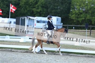 181894_mtp_05_R62_5402.JPG