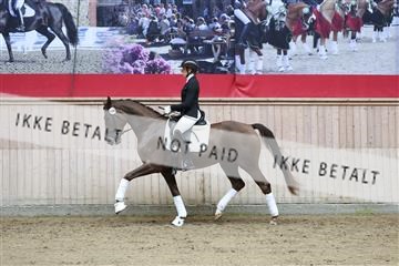 181887_mtp_04_R62_8901.JPG