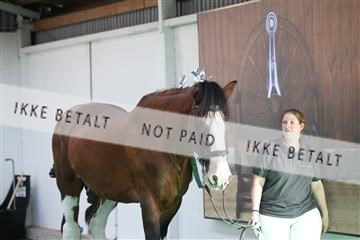 181962_mlm_01_R62_9407.JPG