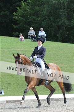 135676_sg_01_IMG_8000.JPG