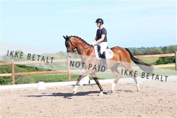 181449_bc_01R62_6126.JPG
