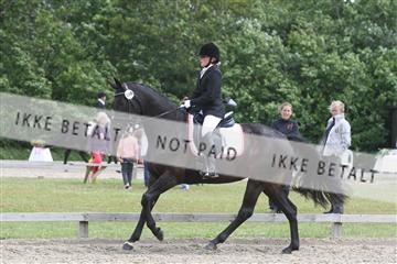 135518_ms_01_IMG_1917.JPG