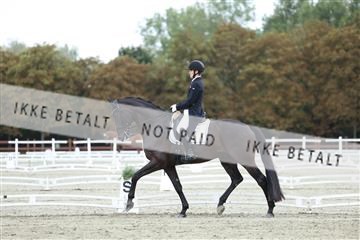 181923_mtp_04_R62_8913.JPG