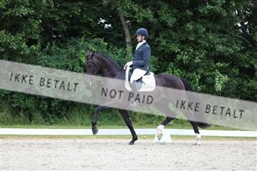 172073_mtp_01_3M5A3021.JPG