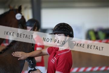 181804_mlm_02_R62_0822.JPG