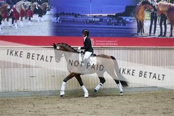 181887_mtp_02_R62_7679.JPG