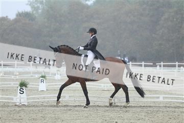 181923_mtp_03_R62_7708.JPG