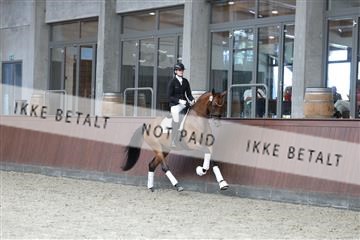 181852_mtp_04_R62_2966.JPG