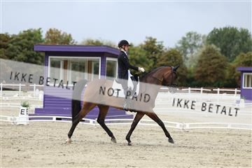 181923_mtp_03_R62_7521.JPG