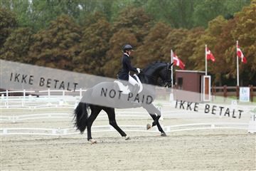181923_mtp_03_R62_7670.JPG