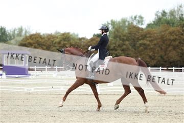 181923_mtp_04_R62_8535.JPG