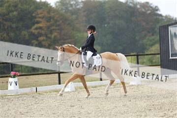 181894_mtp_04_R62_4012.JPG