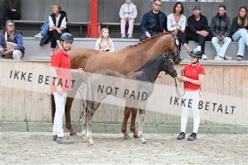 181868_mtp_03_R62_5872.JPG