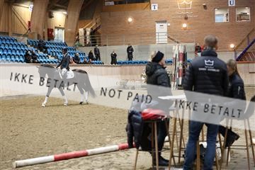 175676_avh_01_175676_avh_01_R62_5412.JPG