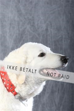 129608_le_ 01_0401.JPG