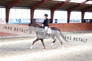 175442_kbb_01_R6II0193.JPG