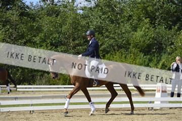 136195_abo_01__AB15971.JPG