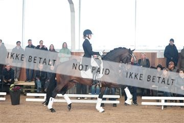 179022_kbb_01_R6II2436.JPG