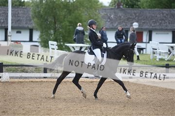 147698_nn_01_IMG_0256.JPG