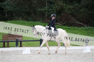 175392_jss_01_R6II0578.JPG