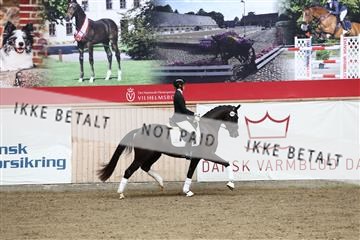 181957_avh_01_3596.JPG