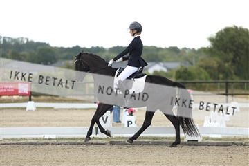 181894_mtp_02_R62_1392.JPG