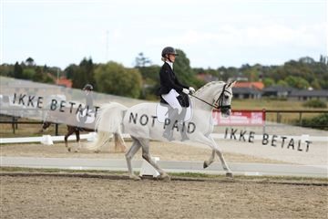 181894_mtp_03_R62_2474.JPG