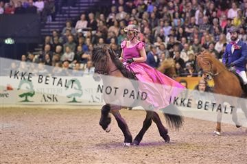 155102_sg_08__BC10978.JPG
