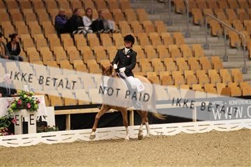 126407_abo_01_IMG_0964.JPG