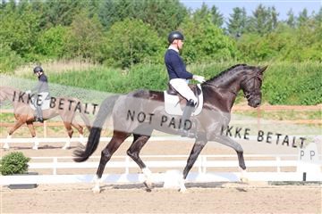 181449_bc_01R62_6589.JPG