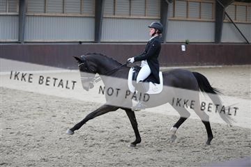 171210_mtp_01_3M5A6816.JPG
